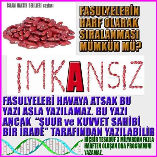 ALLAH, Allahin varlığının delilleri nelerdir?, allahin delilleri, allah in delilleri, allah-delilleri, allah var, #allah